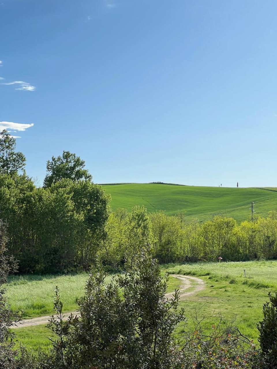 L'Olivo Maritato Apartment Siena Bagian luar foto